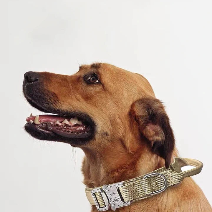 Durable Nylon Pet Dog Collar Leash Set Reflective Tactical Training Harness Large Dog Quick Release Solid Color Collars for Dogs
