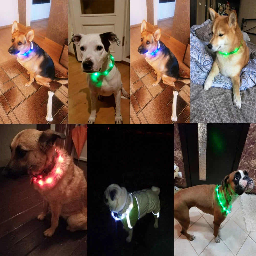 LED Dog Collar Light Up Dog Collars USB Rechargeable Glow Safety Basic Dog Collars for Large Medium Small Dogs Cats Night