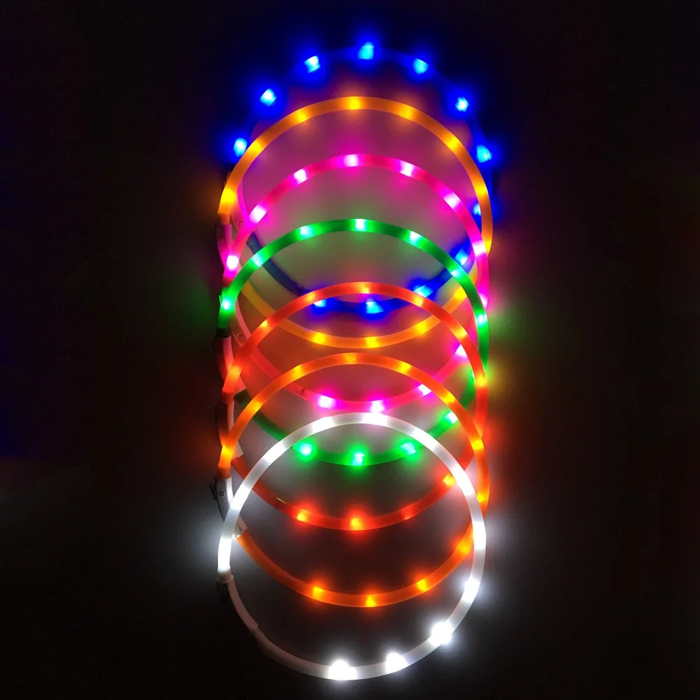 LED Dog Collar Light Up Dog Collars USB Rechargeable Glow Safety Basic Dog Collars for Large Medium Small Dogs Cats Night