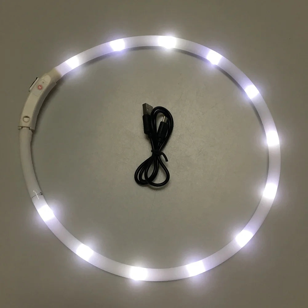 LED Dog Collar Light Up Dog Collars USB Rechargeable Glow Safety Basic Dog Collars for Large Medium Small Dogs Cats Night