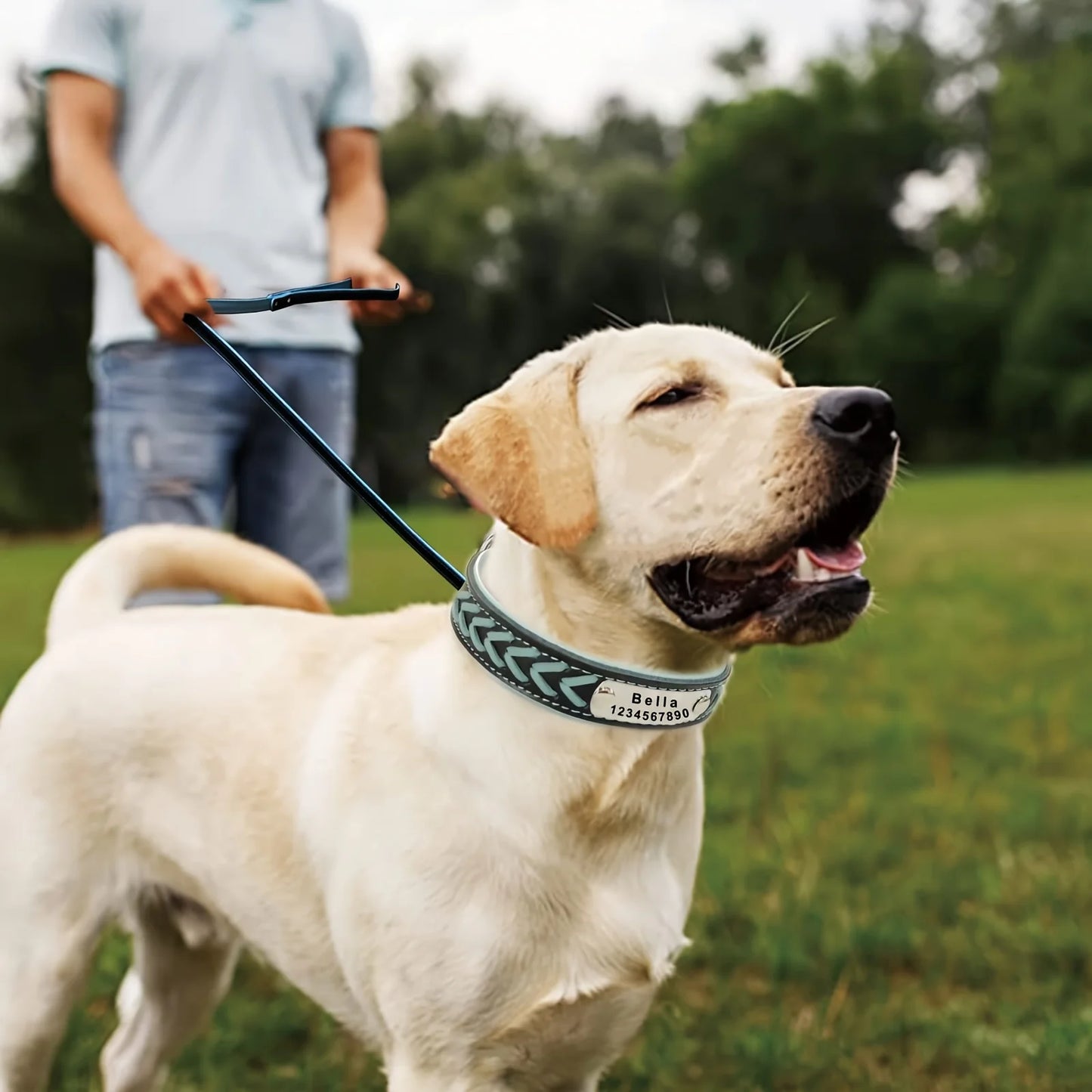 Personalized Dog Collars for Small Medium Large Dogs,Custom Dog Collar with Name Plate,Braided Leather Dog ID Collars, Option to