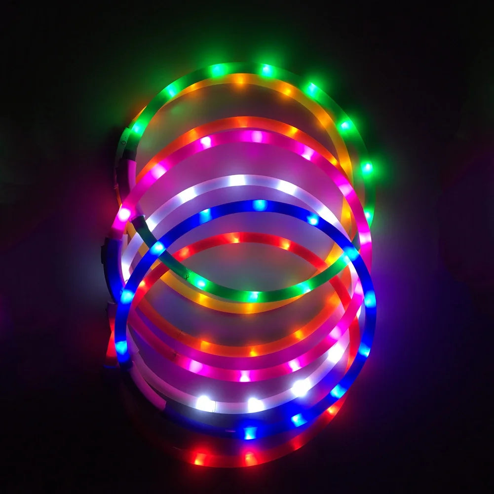 LED Dog Collar Light Up Dog Collars USB Rechargeable Glow Safety Basic Dog Collars for Large Medium Small Dogs Cats Night
