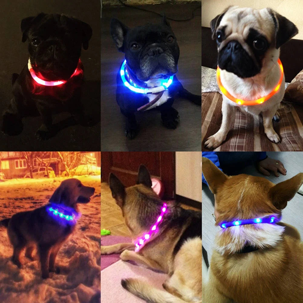 LED Dog Collar Light Up Dog Collars USB Rechargeable Glow Safety Basic Dog Collars for Large Medium Small Dogs Cats Night